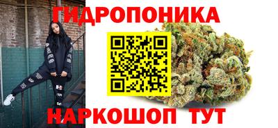 метадон Сланцы